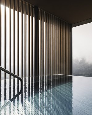 Heaven & hell, our new highlight Infinity pool overlooking foggy forest and vertical wooden slats